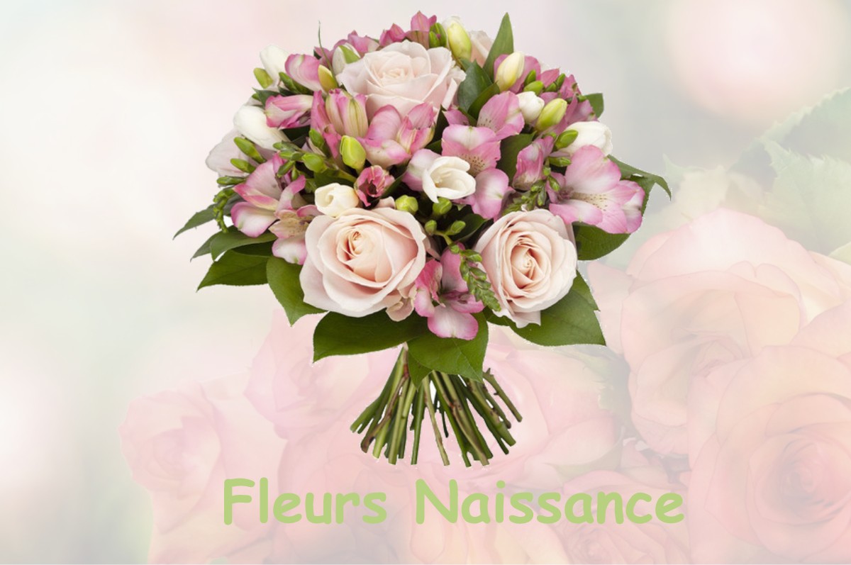 fleurs naissance MORMANT-SUR-VERNISSON