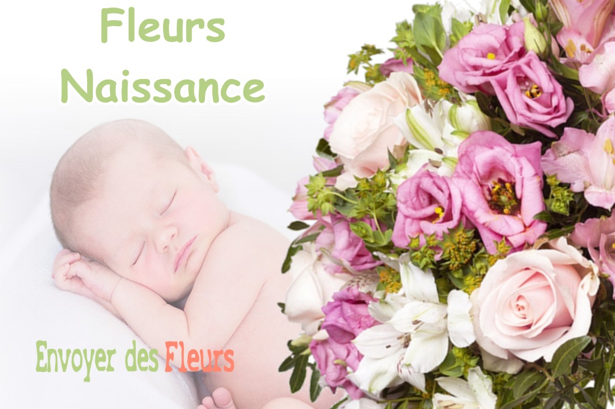 lIVRAISON FLEURS NAISSANCE à MORMANT-SUR-VERNISSON