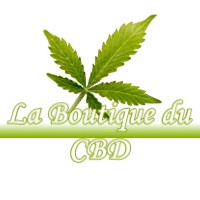 LA BOUTIQUE DU CBD MORMANT-SUR-VERNISSON 